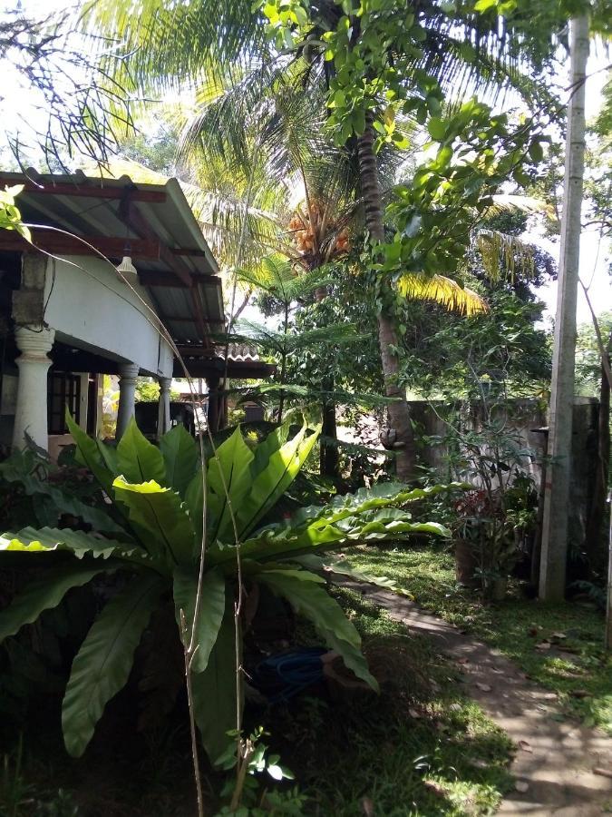 Bandula Home Stay Sigiriya Buitenkant foto